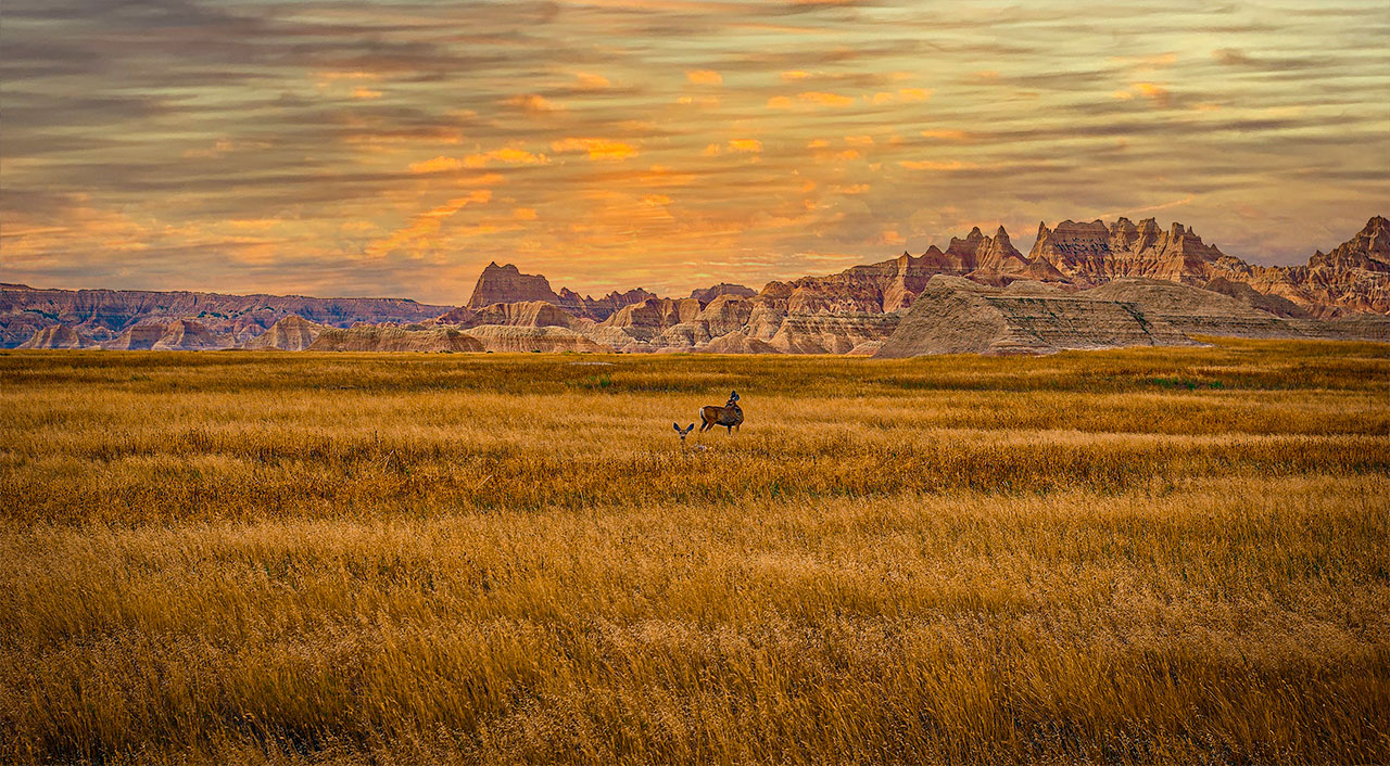 La regione delle Montagne americane: Dakota Badlands