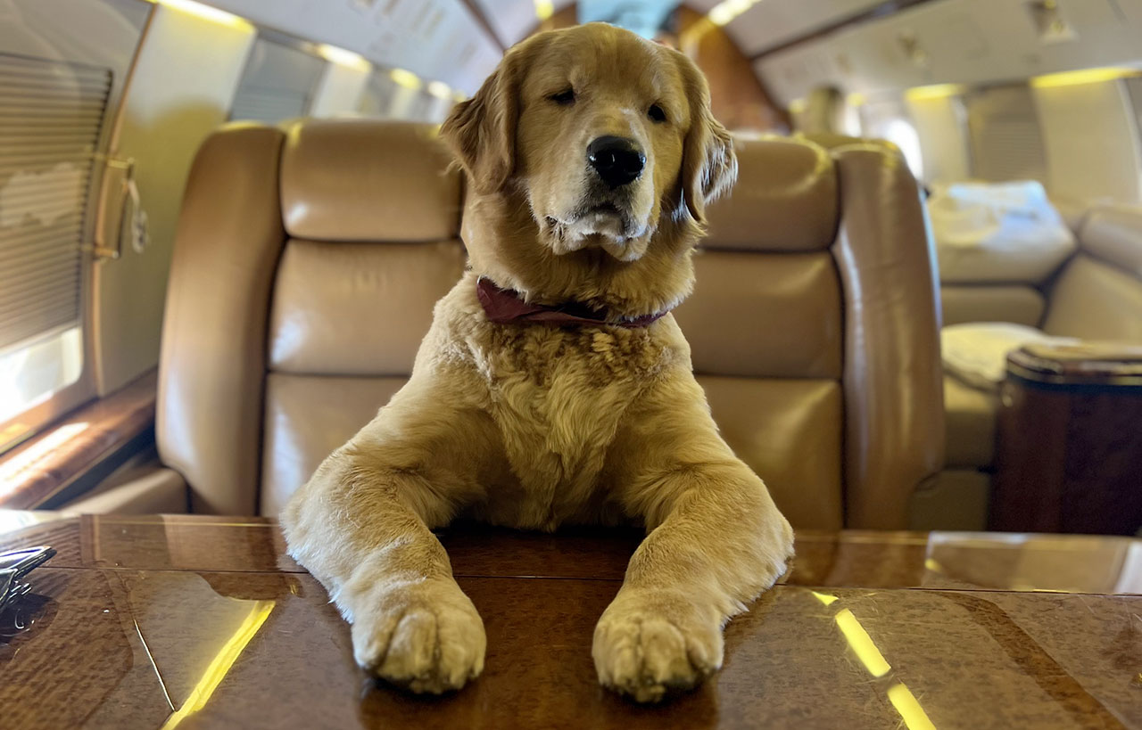 K9 JETS NUOVO VOLO DA MILANO A NEW YORK