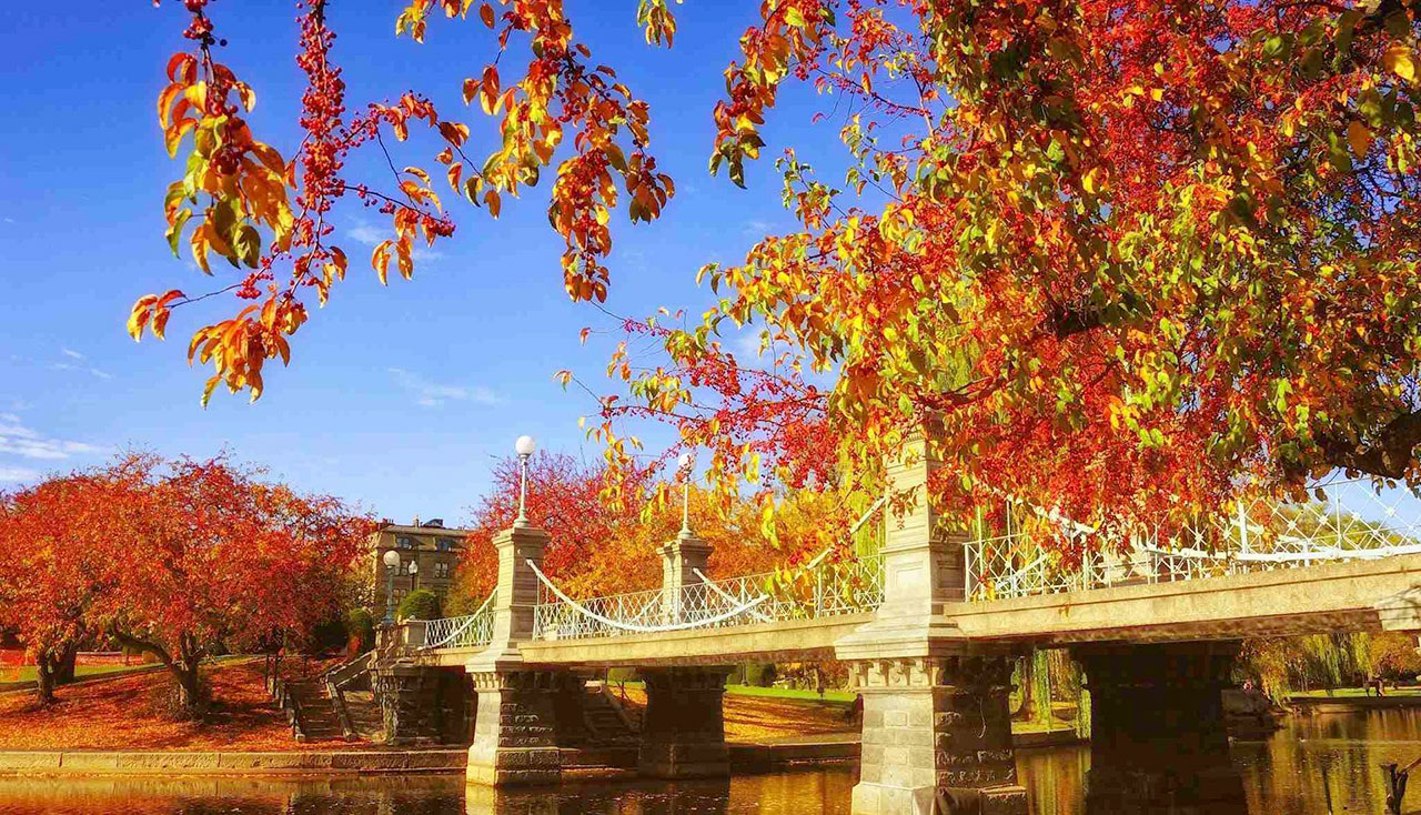 Idee per un autunno strabiliante ed originale a Boston