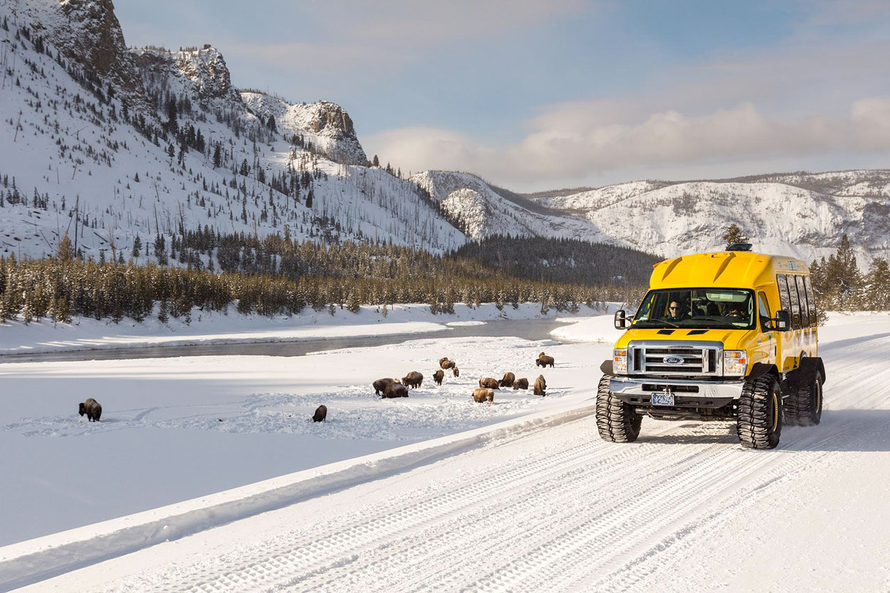 La stagione invernale del Parco Nazionale di Yellowstone inizia il 15 dicembre