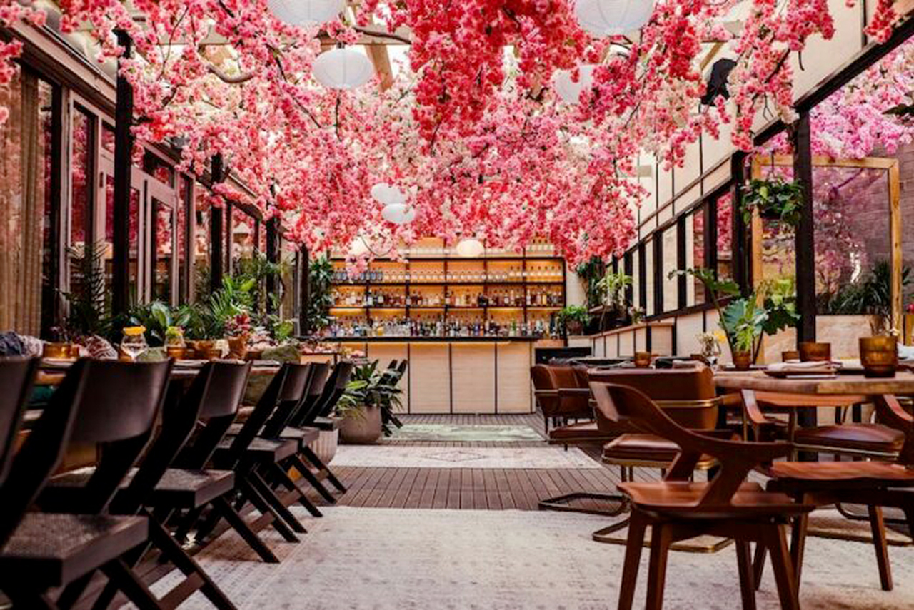 Washington, DC in fiore: il National Cherry Blossom Festival 2026